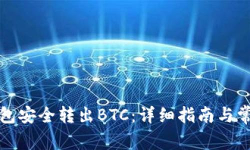 如何从冷钱包安全转出BTC：详细指南与常见问题解析