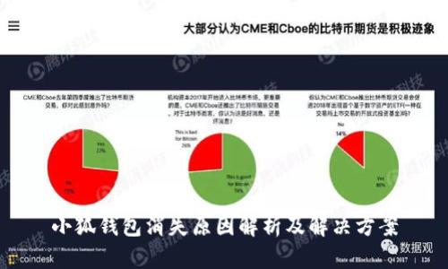 小狐钱包消失原因解析及解决方案