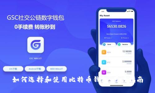 如何选择和使用比特币钱包：用户指南