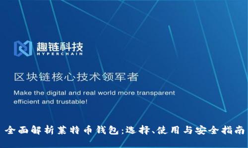 全面解析莱特币钱包：选择、使用与安全指南