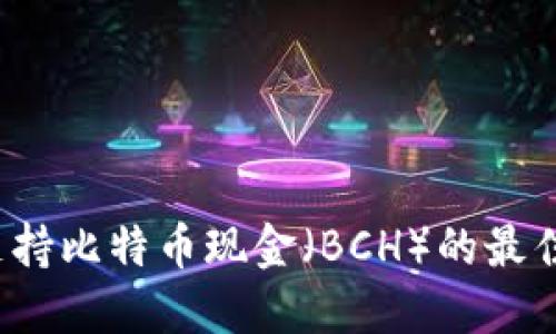 2023年支持比特币现金（BCH）的最佳钱包推荐