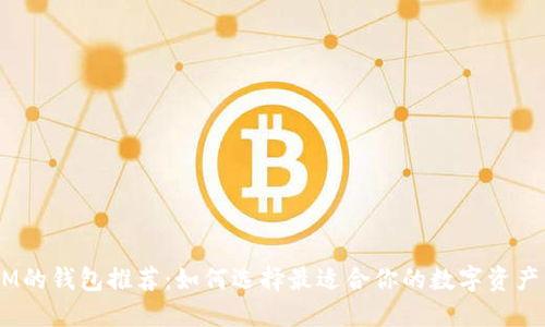 支持QTUM的钱包推荐：如何选择最适合你的数字资产管理工具