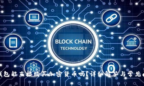 小狐狸钱包能直接购买加密货币吗？详细解答与常见问题探讨